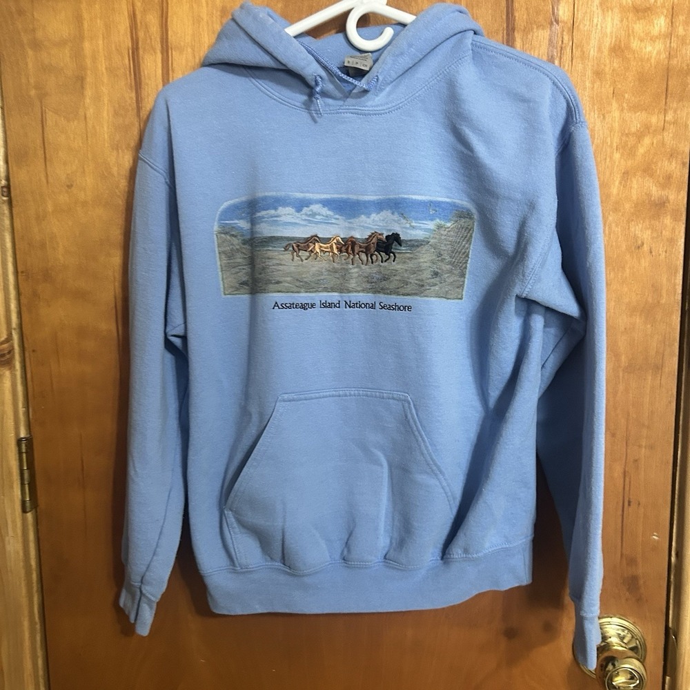 Assateague Island Embroidered Horses Graphic Blue Sweatshirt Hoodie See Photos S
